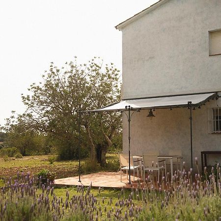 Masia Bartomeu Rural House Between Vineyards 2Km From The Beach El Vendrell Exterior foto