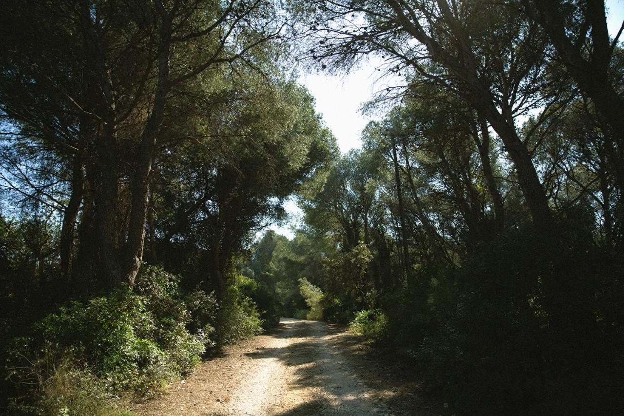 Masia Bartomeu Rural House Between Vineyards 2Km From The Beach El Vendrell Exterior foto